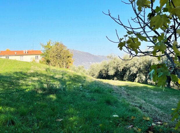 Proprietà dalle 1000 possibilità